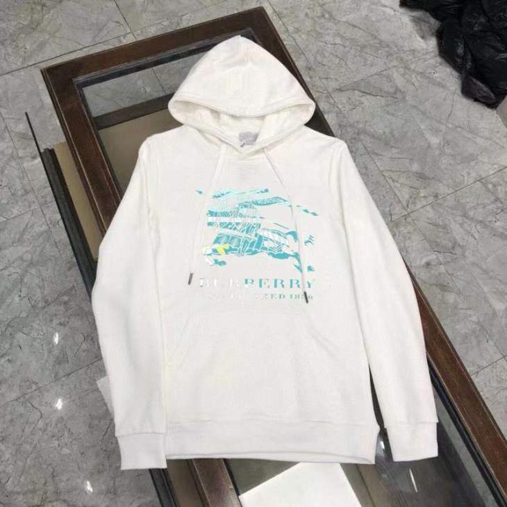Picture of Burberry Hoodies _SKUBurberryM-5XLkdtr021808